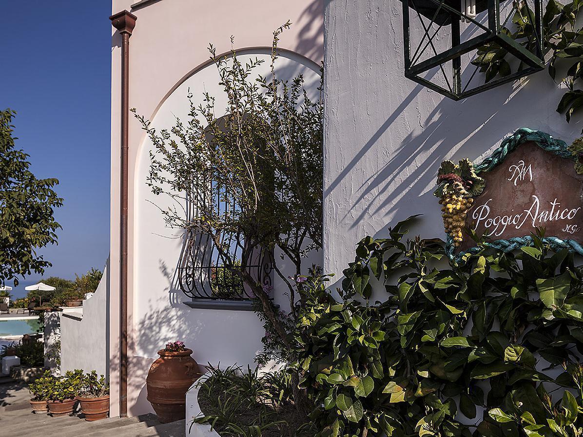 Tenuta Del Poggio Antico Forio di Ischia Esterno foto